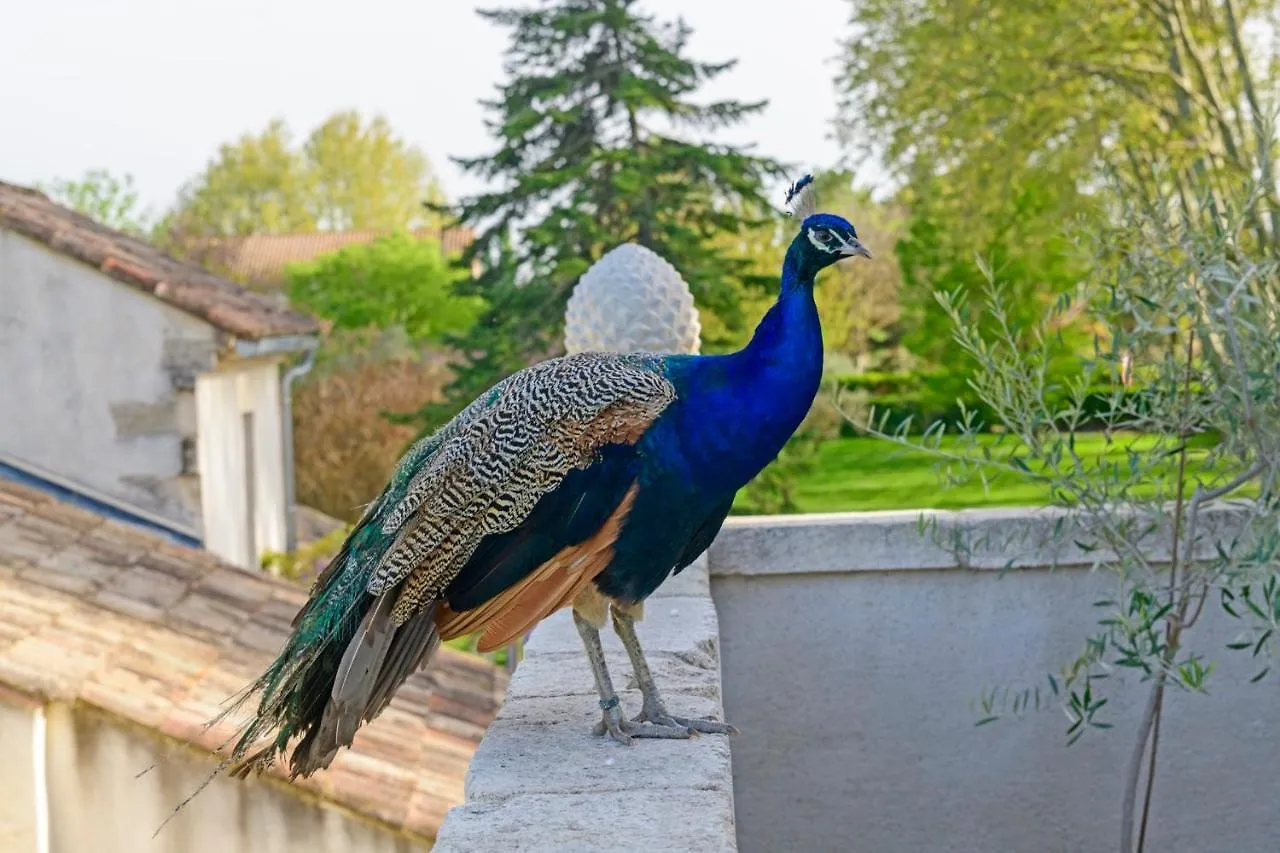 Bed & Breakfast Bastide de Bellegarde Bed and Breakfast Avignon